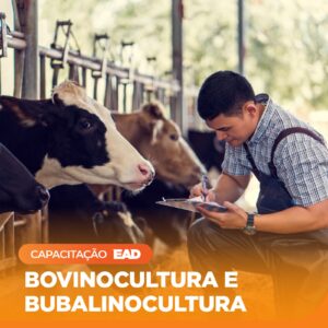 Bovinocultura e Bubalinocultura