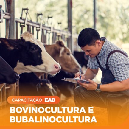 Curso Bovinocultura e Bubalinocultura