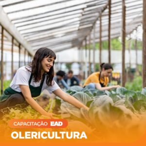 Olericultura