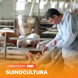 Suinocultura