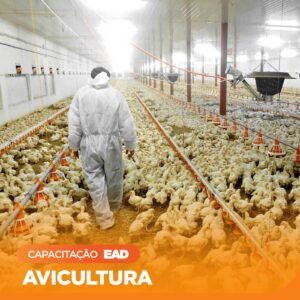 Avicultura