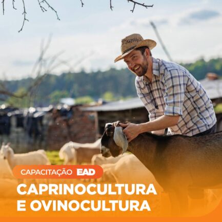 Caprinocultura e Ovinocultura