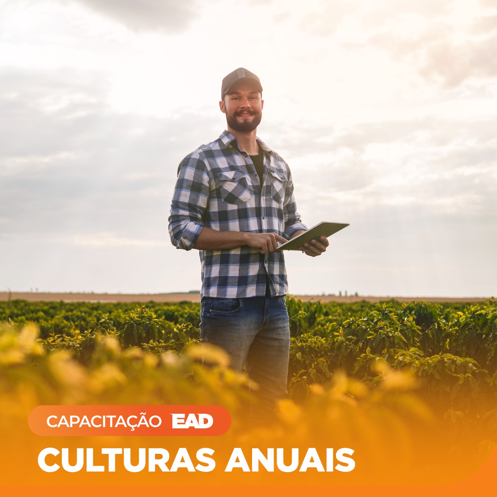 Culturas Anuais