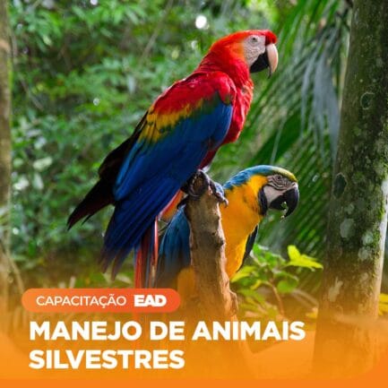 Curso Manejo de Animais Silvestres a distância